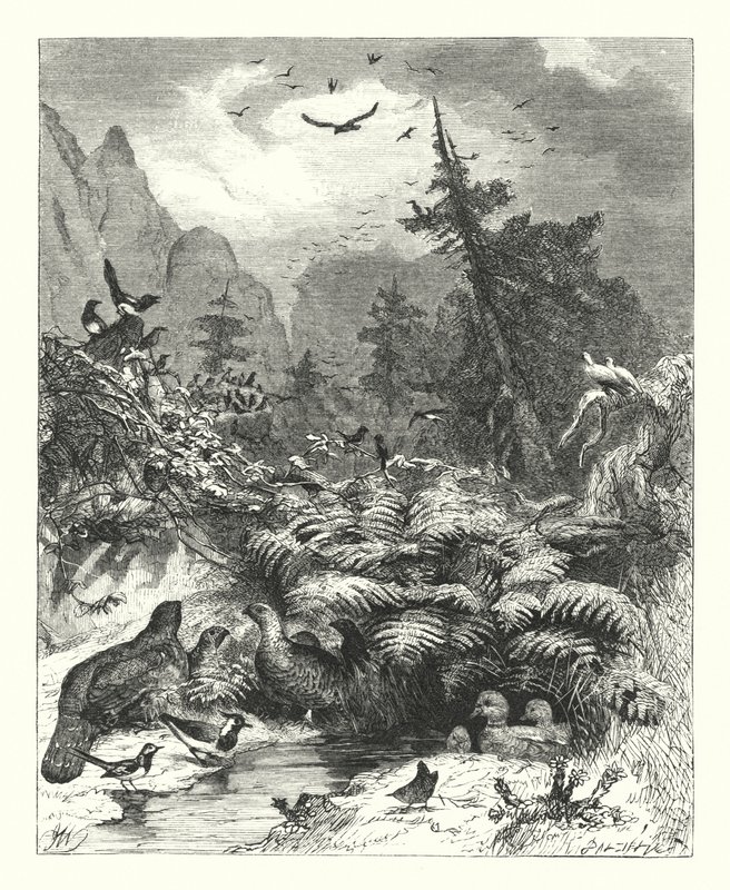 Sök efter Gud (gravyr) av Joseph (after) Wolf