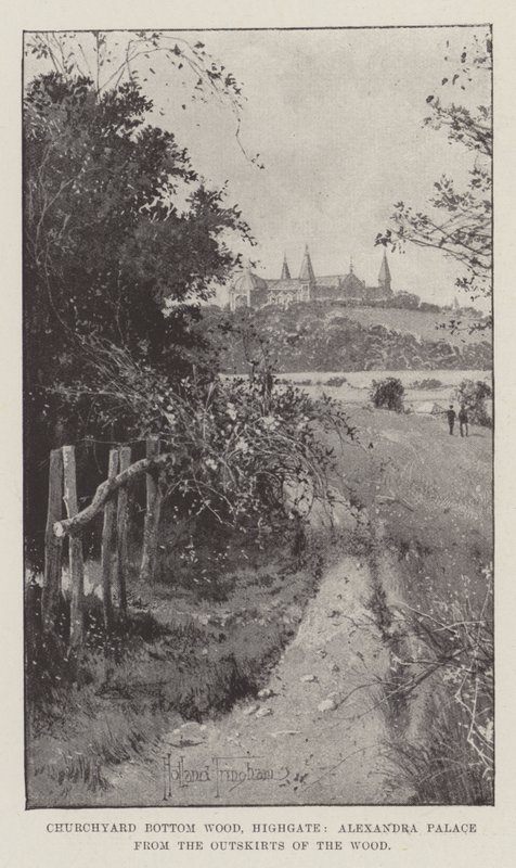 Churchyard Bottom Wood, Highgate, Alexandra Palace från utkanten av skogen av Joseph Holland Tringham