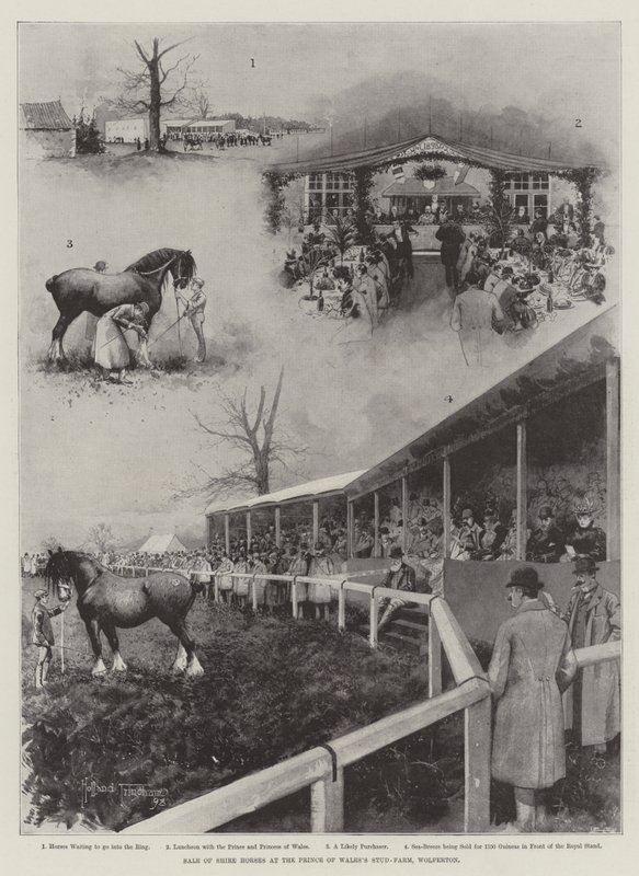 Försäljning av Shire-hästar på Prince of Wales stuteri, Wolferton av Joseph Holland Tringham