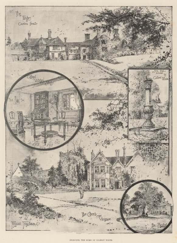 Selborne, Gilbert Whites hem av Joseph Holland Tringham