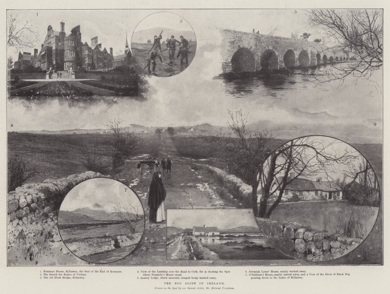 The Mos Slide i Irland av Joseph Holland Tringham