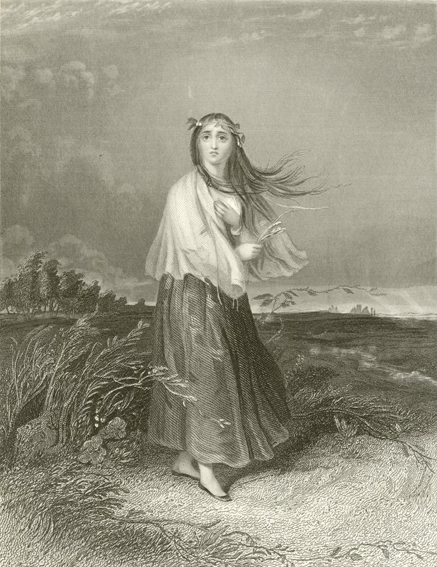 Kate är galen av Joseph John Jenkins
