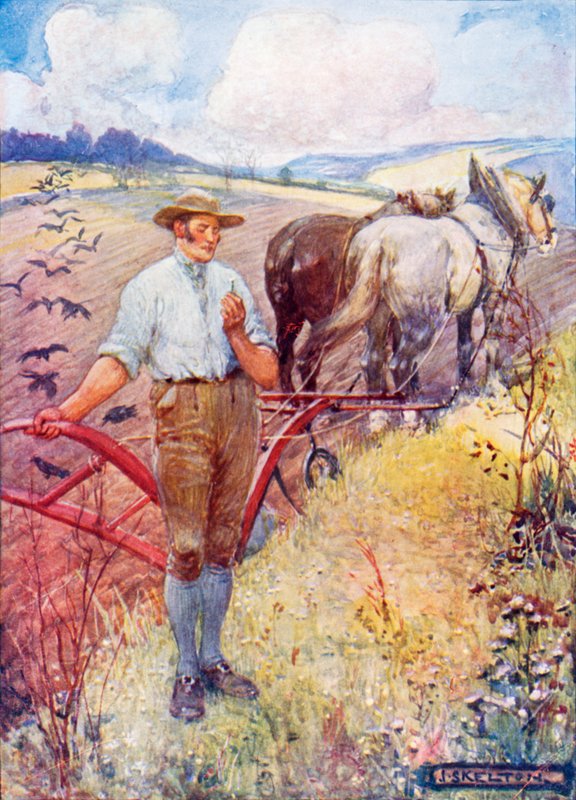 Kwa daisy ya mlima na Robert Burnsswed av Joseph Ratcliffe Skelton