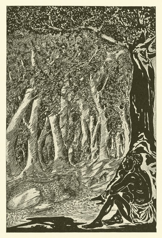 Leoparden och etiopiern (gravyr) av Joseph Rudyard (after) Kipling