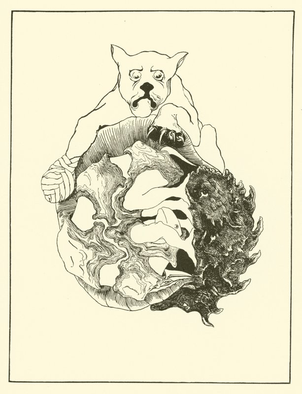 Hela historien om Jaguaren och igelkotten och sköldpaddan och bältdjuret i en hög (gravyr) av Joseph Rudyard (after) Kipling