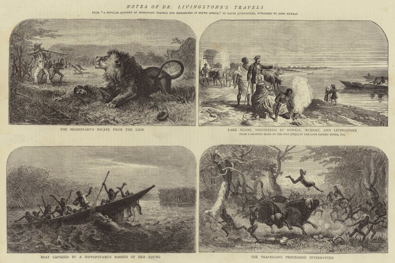 Anteckningar om Dr Livingstones resor av Josiah Wood Whymper
