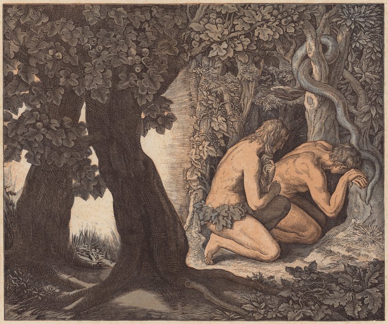 Adam och Eva gömmer sig i trädgården, Första Mosebok, III, 8 (kolorerad gravyr) av Julius (after) Schnorr von Carolsfeld