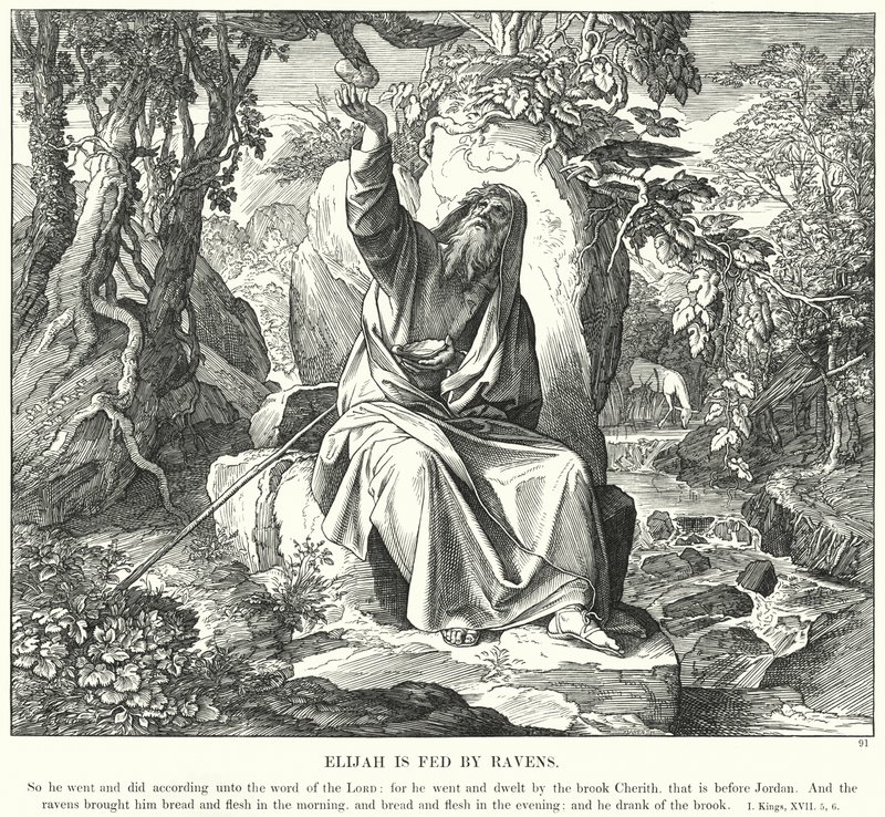 Elia matas av korpar (gravyr) av Julius (after) Schnorr von Carolsfeld