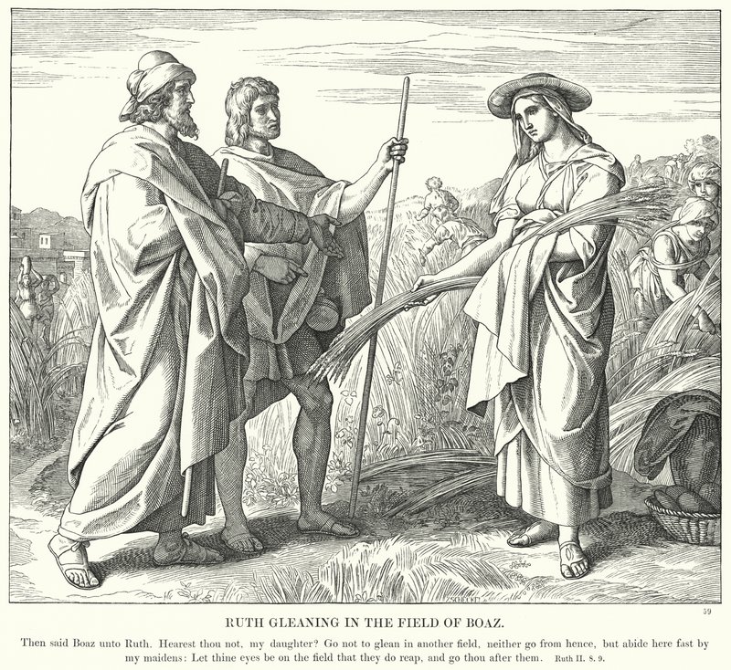Rut som plockar på Boas fält (gravyr) av Julius (after) Schnorr von Carolsfeld