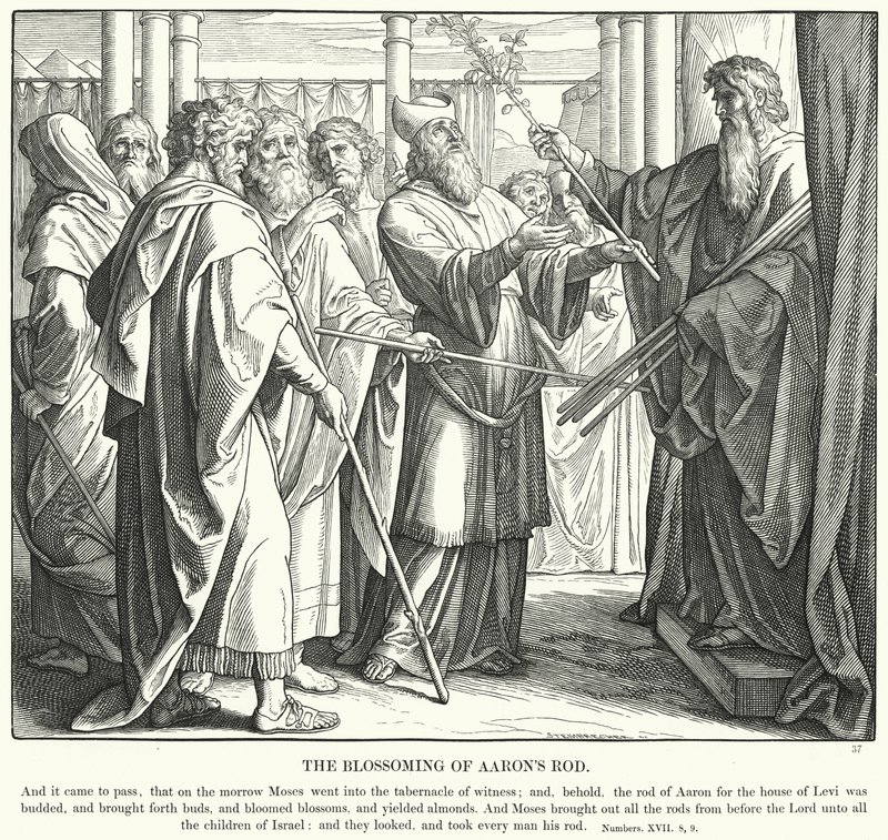 The Blossoming of Aarons Rod (gravyr) av Julius (after) Schnorr von Carolsfeld