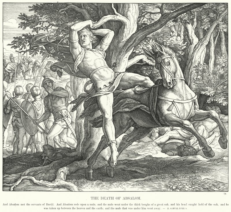 Absaloms död (gravyr) av Julius (after) Schnorr von Carolsfeld