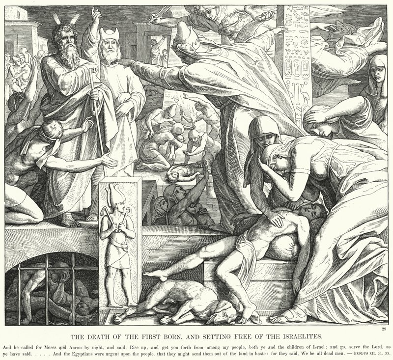 Den förstföddes död och israeliternas befrielse (gravyr) av Julius (after) Schnorr von Carolsfeld