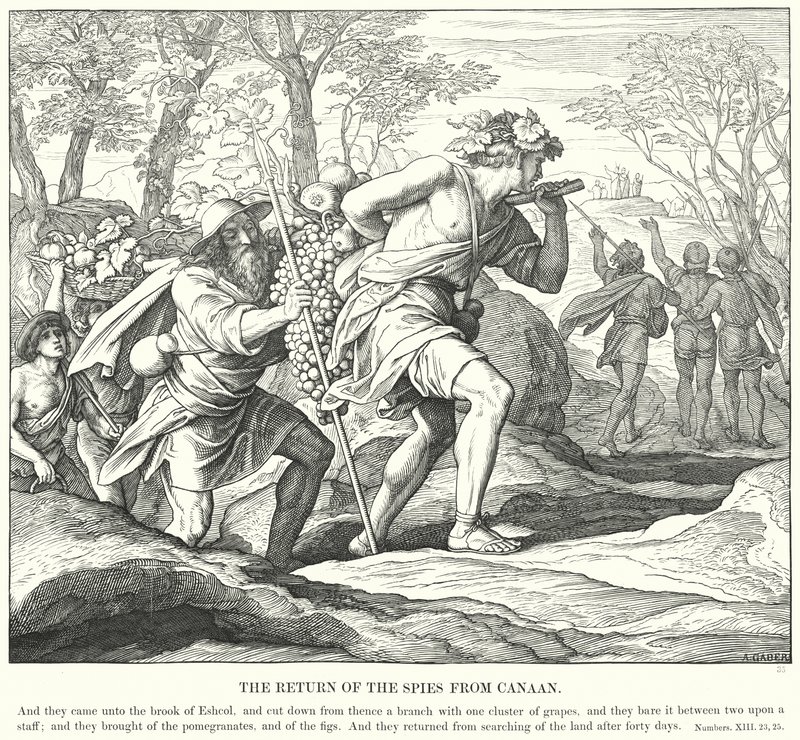 Spionernas återkomst från Kanaan (gravyr) av Julius (after) Schnorr von Carolsfeld