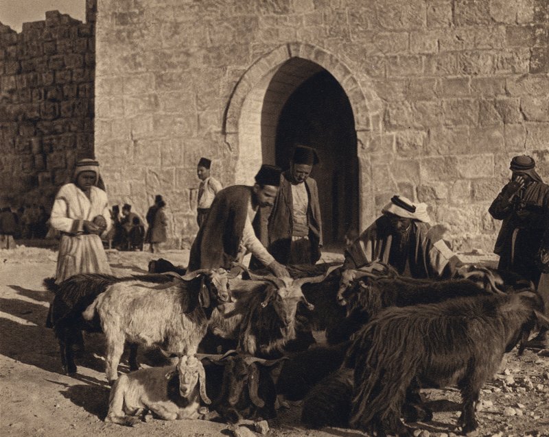 Jerusalem, marknad vid Herodes port (s/v foto) av Karl Grober