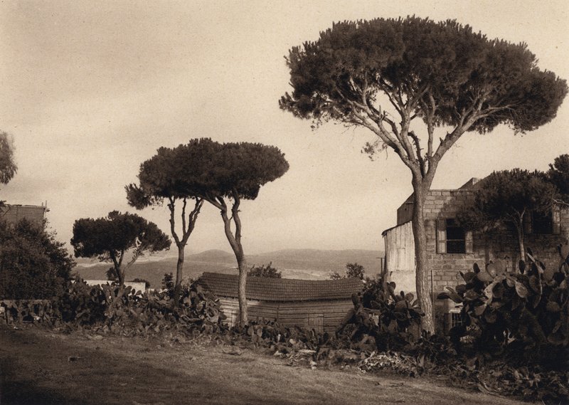 Libanon, landskap (s/v foto) av Karl Grober