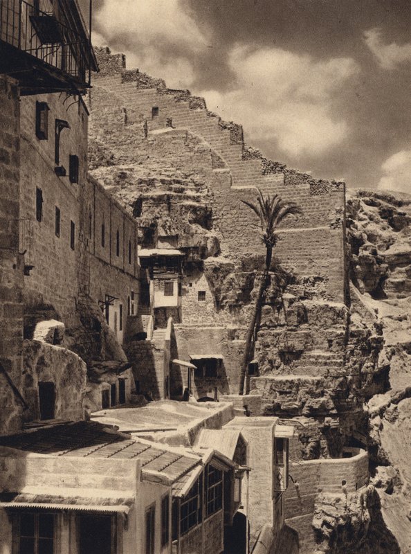 Mar Saba, Palm of St Sabas (s/v foto) av Karl Grober