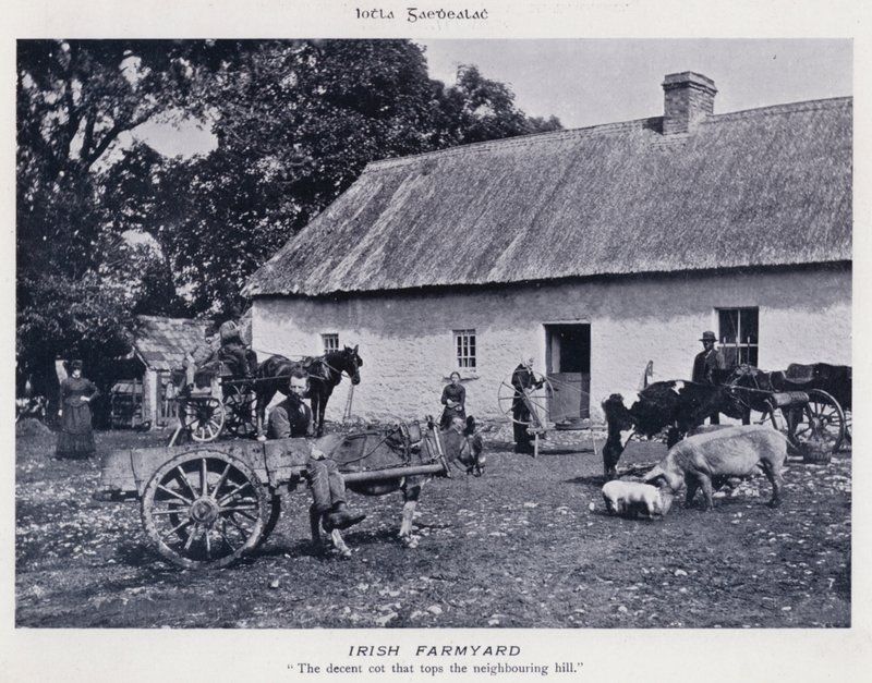 Irish Farmyard (s/v foto) av Karl Karlovich Piratsky