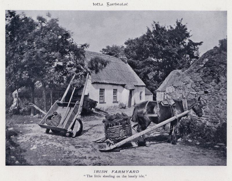 Irish Farmyard (s/v foto) av Karl Karlovich Piratsky