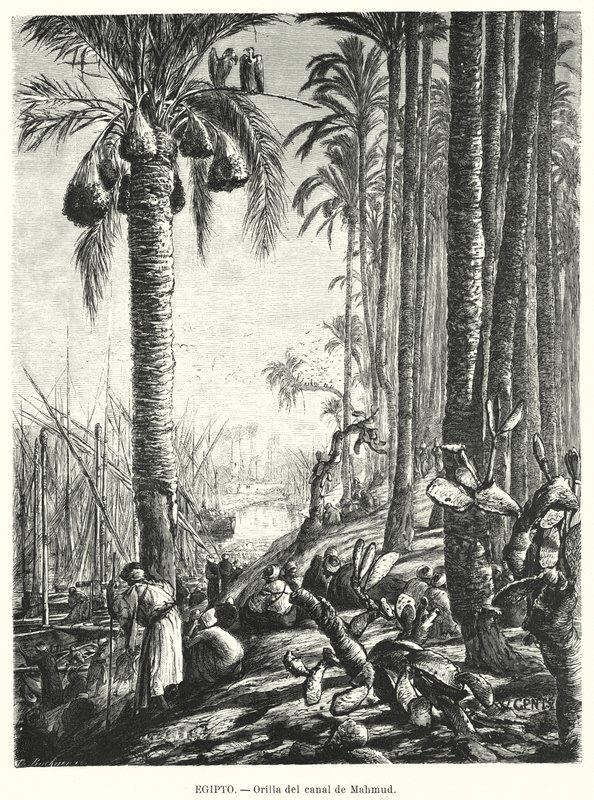 Bankerna vid Mahmoudiyah-kanalen, Egypten (litho) av Karl Wilhelm Gentz
