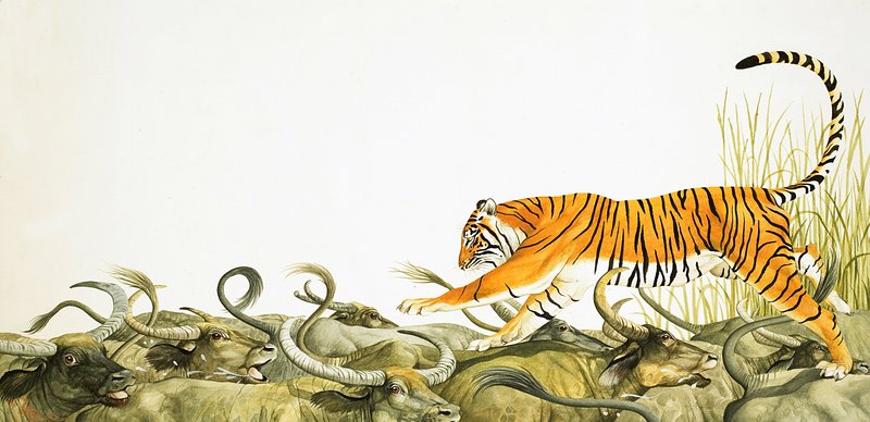 En tiger som springer längs bufflarnas ryggar av Kenneth Lilly