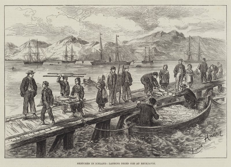 Skisser på Island, landning av torkad torsk i Reykjavik av L. Huard