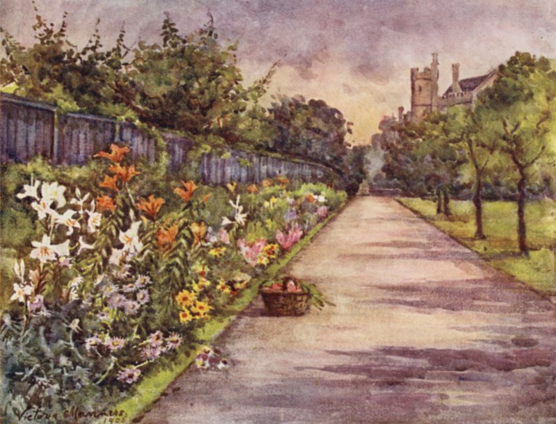 Örtartad kant, Lambeth Palace (färg litho) av Lady Victoria Marjorie Harriet Manners