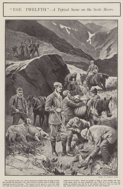 "The Twelfth" - en typisk scen på Scots Moors (litho) av Lancelot Speed
