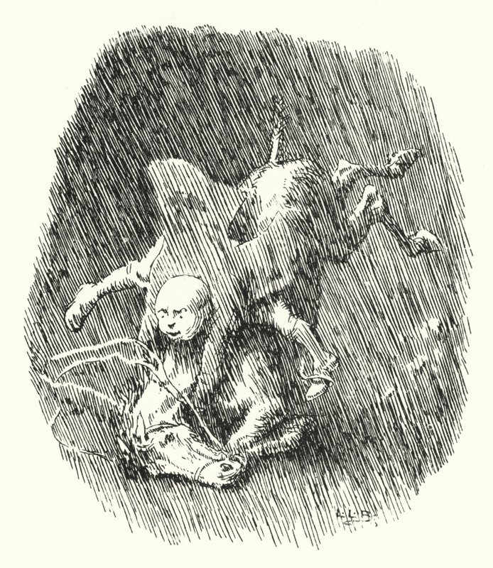 John Cook hade ett litet grått sto (gravyr) av Leonard Leslie Brooke