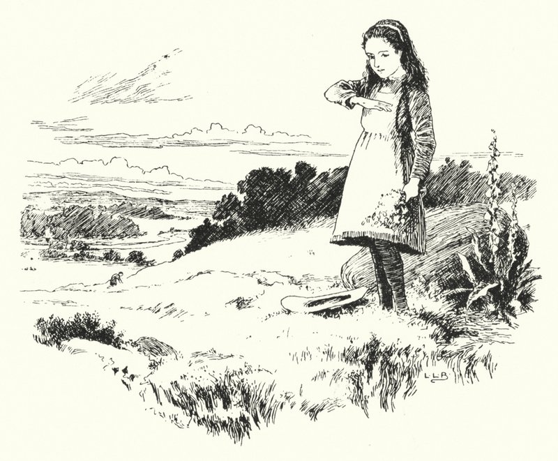 Lady bird, Lady bird, flyg hem (gravyr) av Leonard Leslie Brooke