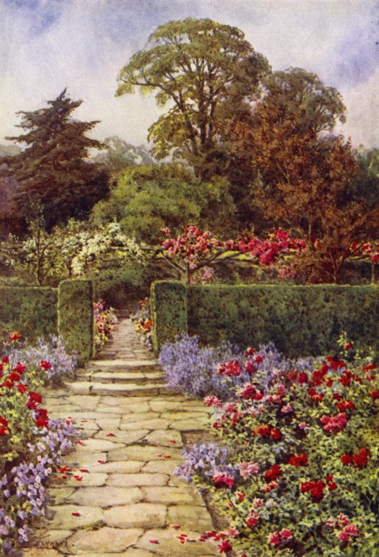 The Rose Walk (färg litho) av Lilian Stannard