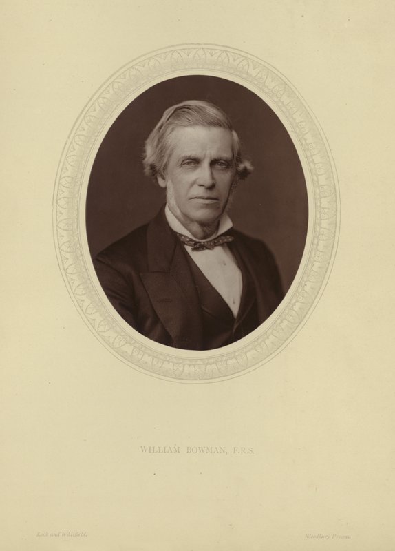 Porträtt av Sir William Bowman av Lock and Whitfield
