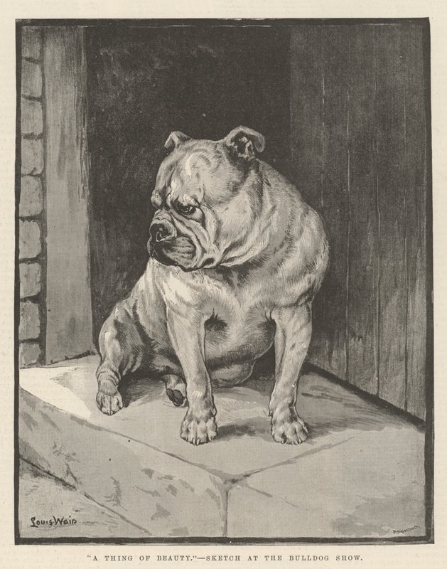 En sak av skönhet av Louis Wain