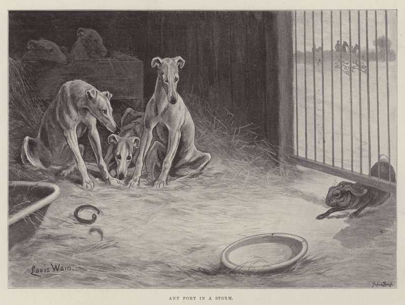 Vilken hamn som helst i en storm av Louis Wain