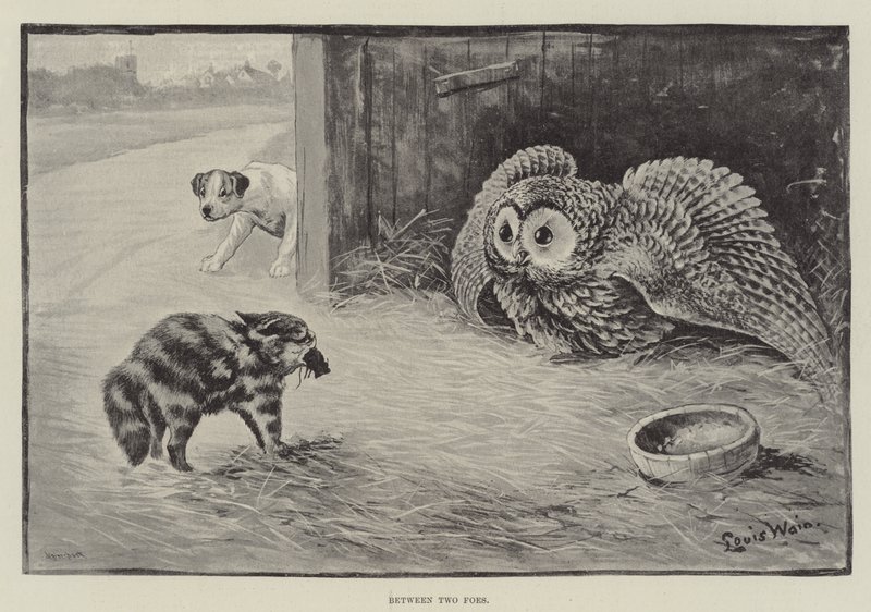 Mellan två fiender av Louis Wain