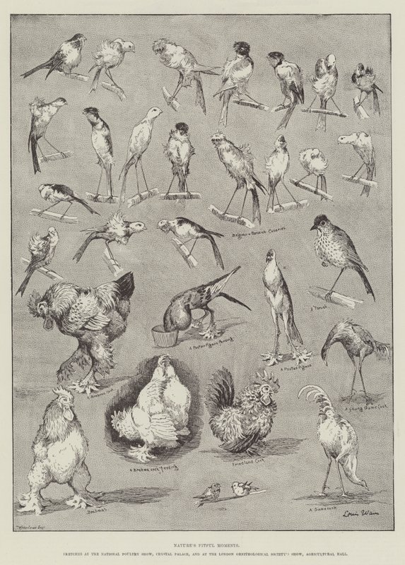 Naturens nyckfulla stunder av Louis Wain