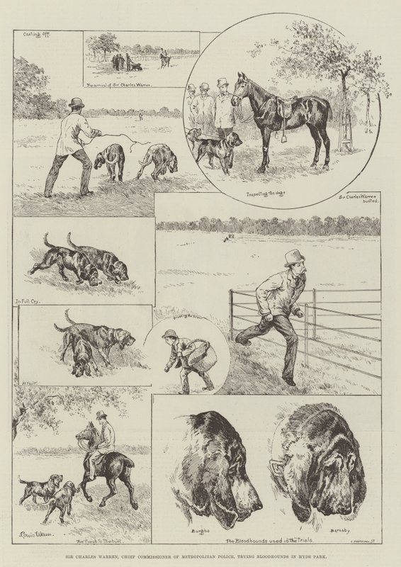 Sir Charles Warren, chef för Metropolitan Police, provar Bloodhounds i Hyde Park av Louis Wain