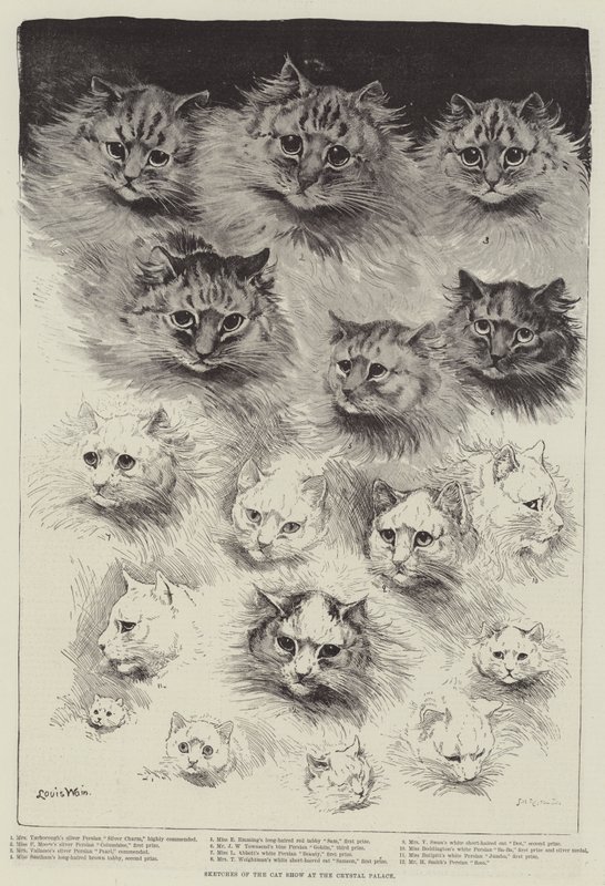 Skisser från kattutställningen i Crystal Palace av Louis Wain