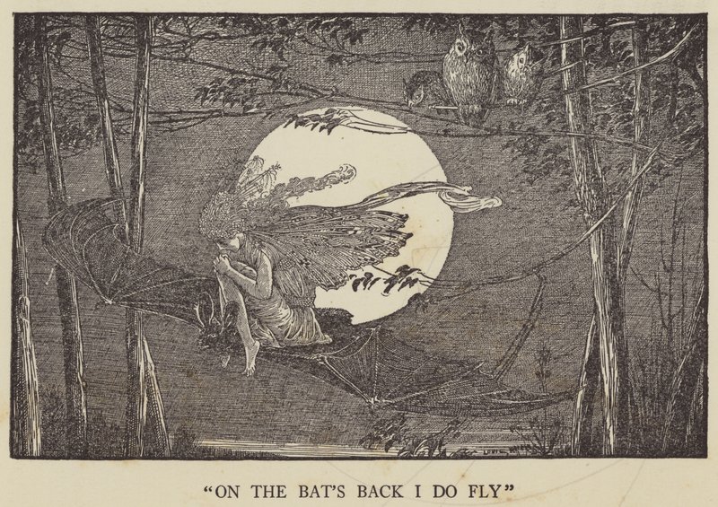 På fladdermössen flyger jag av Louis John Rhead