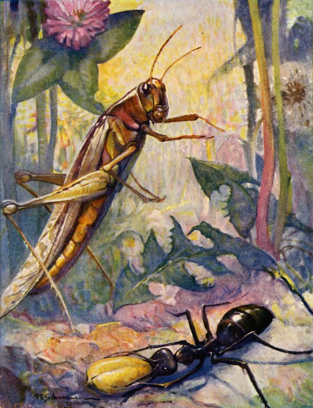 The Ant and the Grashopper (färglitografi) av Louis John Rhead