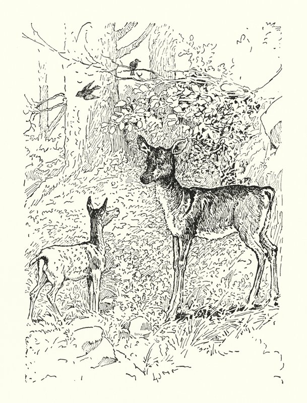 Faunan och hans mor (litografi) av Louis John Rhead