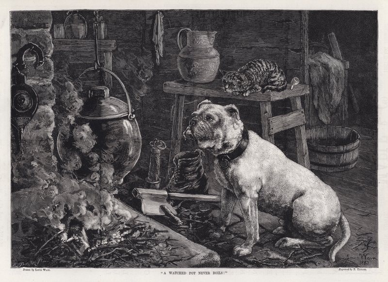 "En bevakad gryta kokar aldrig!" (gravyr) av Louis Wain