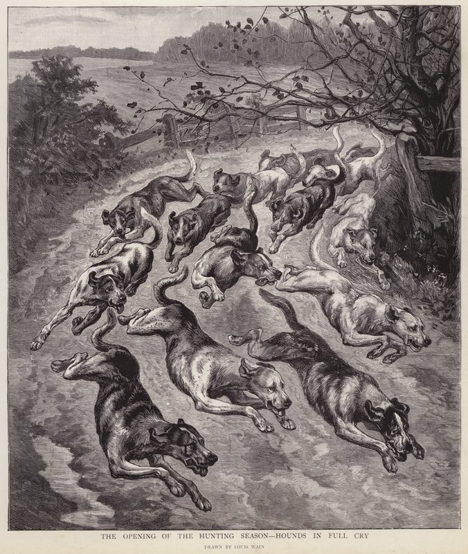 Hundar i full gråt i början av jaktsäsongen (litho) av Louis Wain