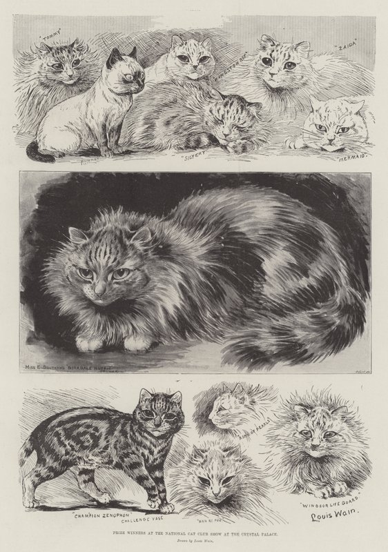 Pristagare på National Cat Club Show på Crystal Palace av Louis Wain