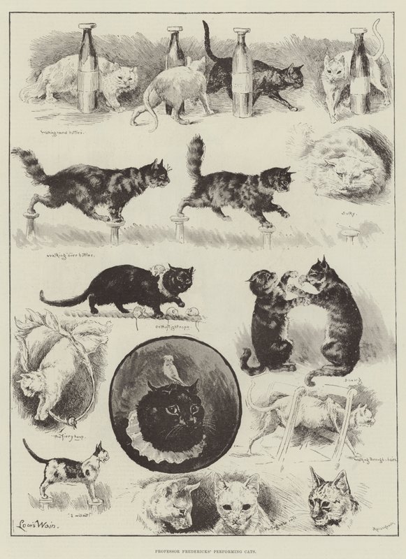 Professor Fredericks Performing Cats av Louis Wain
