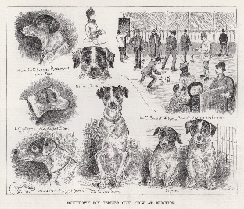 Southdown Fox Terrier Club Show i Brighton (gravyr) av Louis Wain