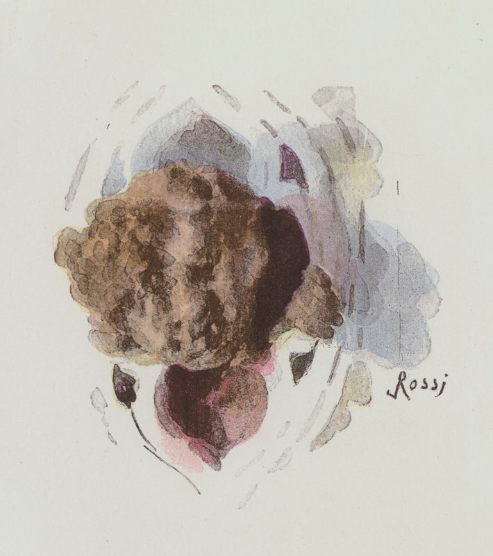 Illustration för Notre-Dame De Paris av Victor Hugo av Lucius Rossi