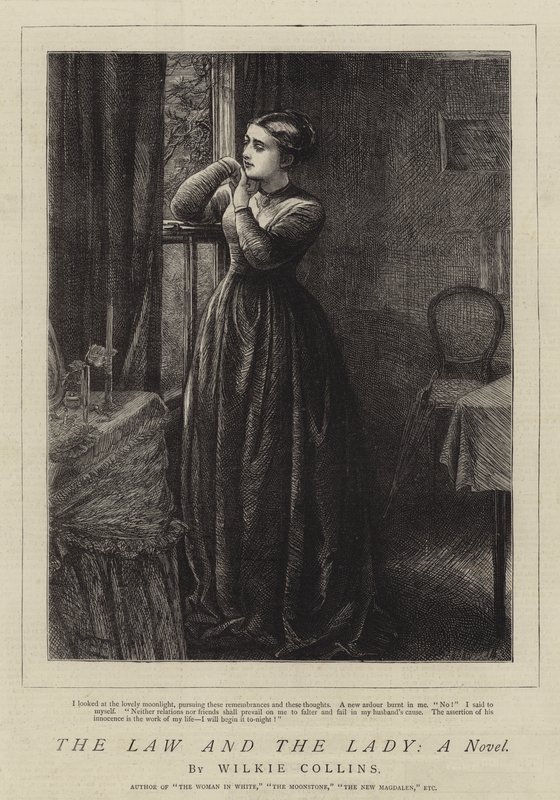 Lagen och damen, en roman av Mary Ellen Edwards