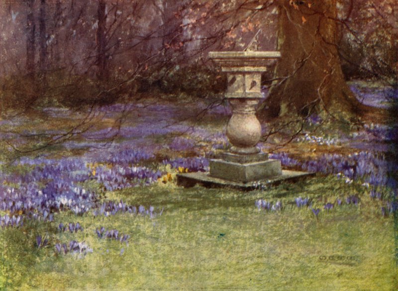 Scottish Gardens: Whitehouse (färg litho) av Mary Georgina Wade Wilson