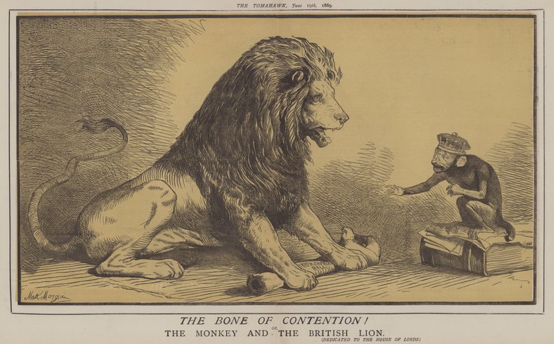 Stridsbenet! eller, apan och det brittiska lejonet (färg litho) av Matthew