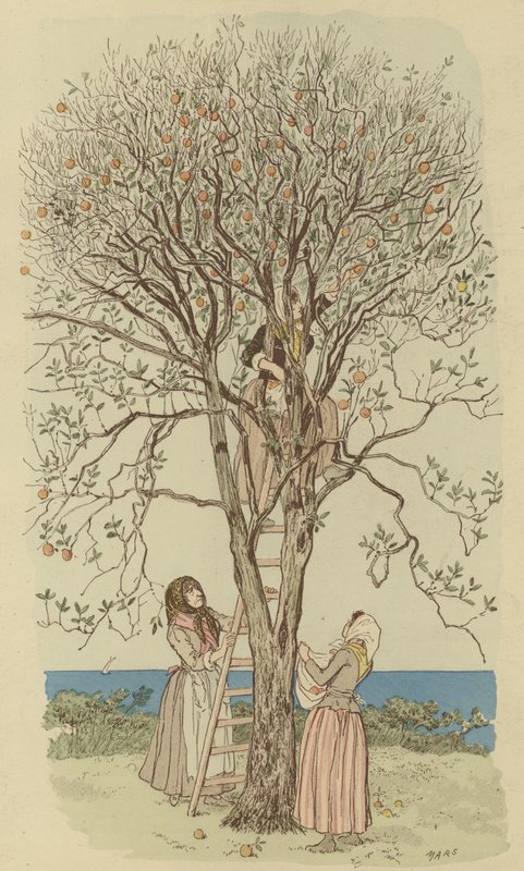 Plocka apelsiner på Medelhavet (färg litho) av Maurice Charles Mathieu Bonvoisin
